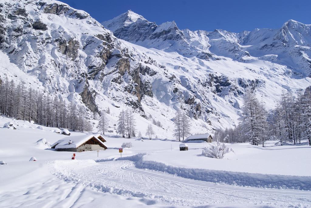 23 Praz De L'Ours Vallandry - Les Arcs بيسي-نانكرويكس المظهر الخارجي الصورة